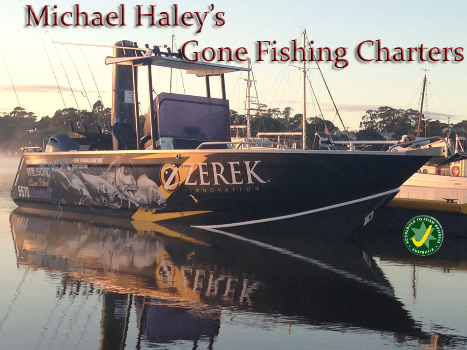 Michael Haley's Gone Fishing Charters